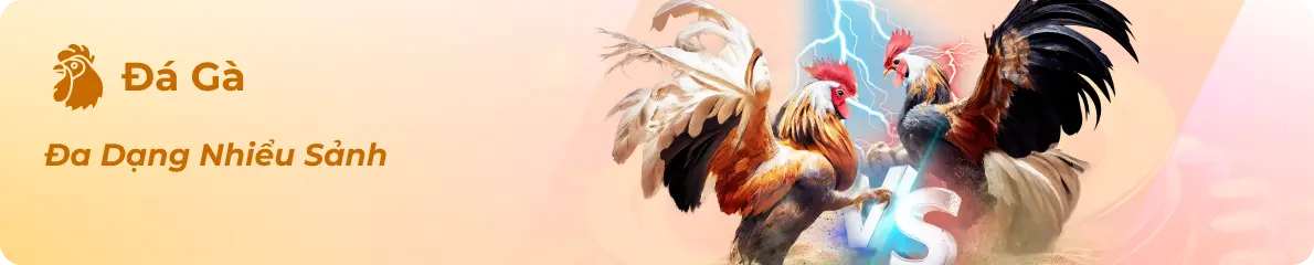 Icon đá gà okfun hay